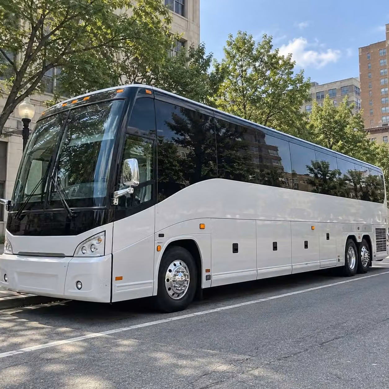 marion use a charter bus for a bachelor or bachelorette party in marion
